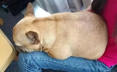 在线偷拍偷拍青青